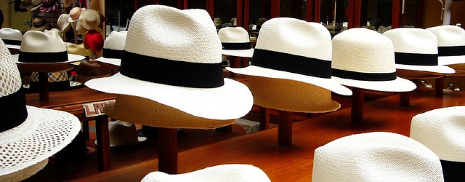 panama hat palm. Panama Hats For Sale